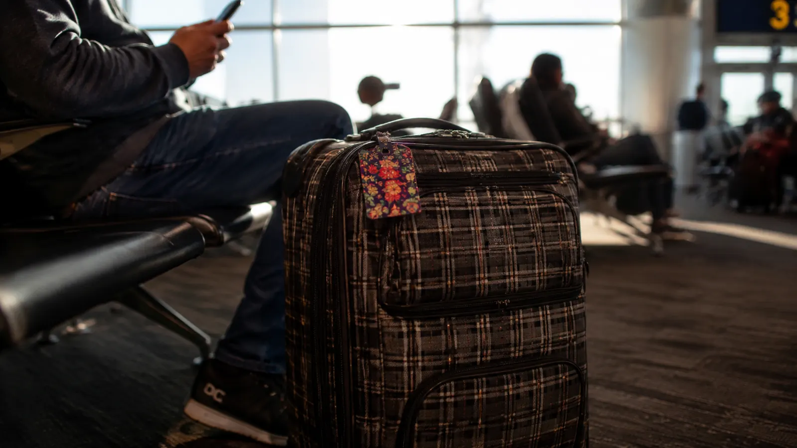 Luggage Tags Review: 6 Months of Daily Use Across a Dozen Flights